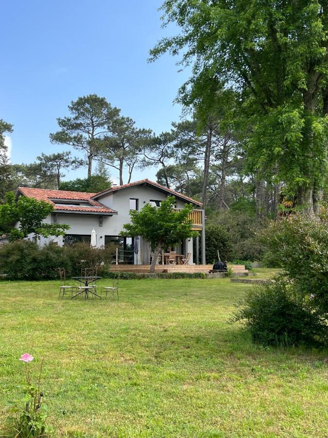 Bed and Breakfast Laguillotte Seignosse Exterior foto